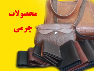 بنر فروشگاه اینترنتی پاکسون